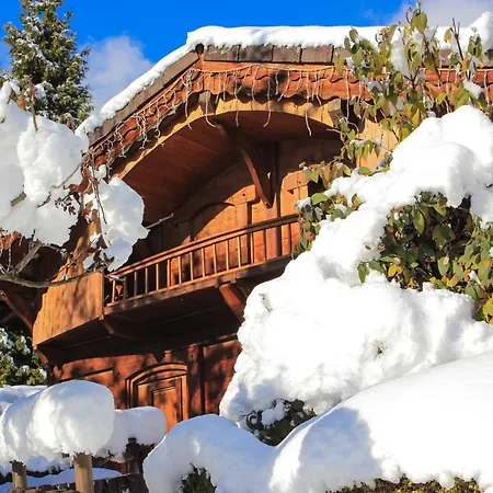 Les Greniers Du Mont Blanc Шале Пасси