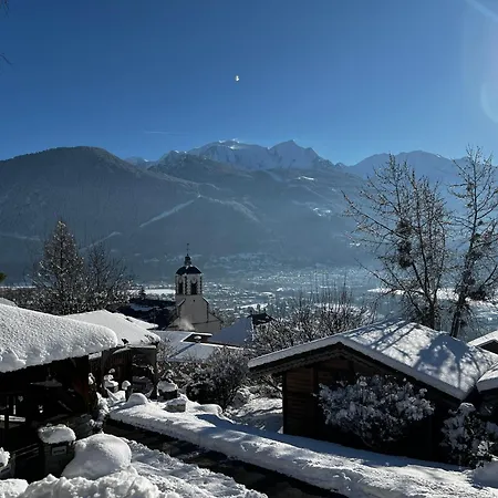 Les Greniers Du Mont Blanc شاليه باسي